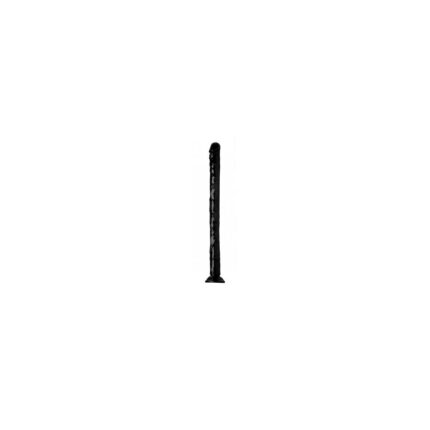 M0403387_1